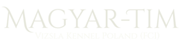 magyar