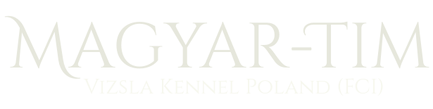 magyar