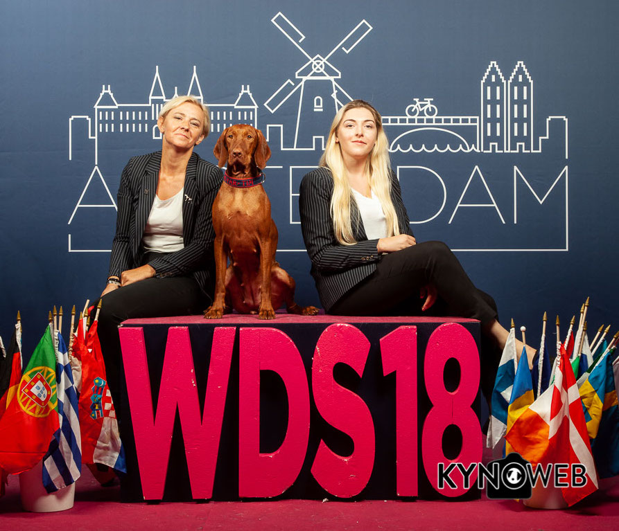 free picture 391 free eukanuba wds 2018 kynoweb img 9494 20180810 16 35 14 kopia
